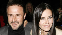 Courteney Cox and David Arquette Break Up Rumors Confirmed By Aniston