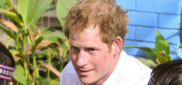 Prince Harry loved his trip to Chile, wanted to bring a Chilean baby home with him