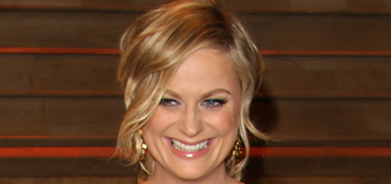 Amy Poehler: The male pressure to be ‘all things’ is how women always feel