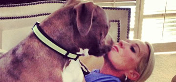 Kim Richards sent her pitt bull to live with a trainer after his 5th violent attack