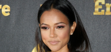 Karrueche Tran tweet-dumped Chris Brown after she found out about his baby