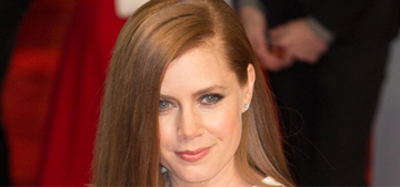 “Amy Adams married Darren Le Gallo after a 7-year engagement” links