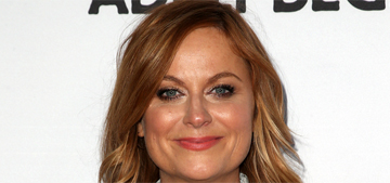 Amy Poehler to male Hollywood execs: ‘stop asking me where my children are’