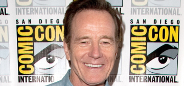 “Bryan Cranston dropped one of the best mic-drop burns on a fan” links