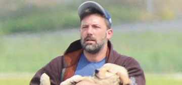 Ben Affleck carries his family’s new puppy: ‘it’s another sign they are working together’