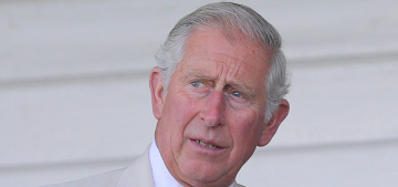 Prince Charles publicly guilt-trips William over access to George: brilliant?