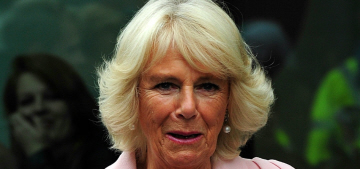 Duchess Camilla will be the subject of a glossy, history-rewriting biography