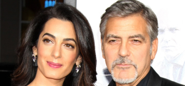 George & Amal Clooney adopted a third dog, a rescue basset hound named Millie
