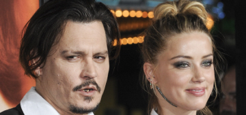 Amber Heard will fight the charges related to bringing Pistol & Boo into Australia