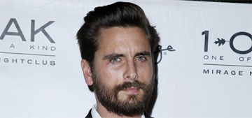 Does Scott Disick have a new Swedish-model girlfriend already?