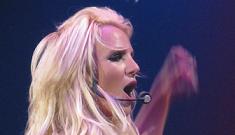 Woman arrested for peeping into Britney Spears’ windows