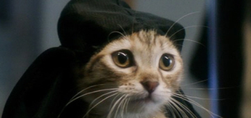 Key & Peele’s ‘Keanu’ movie used seven identical kittens for Keanu-kitten