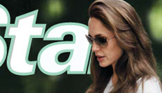 Did Angelina throw wine at Brad because he supports Obama?