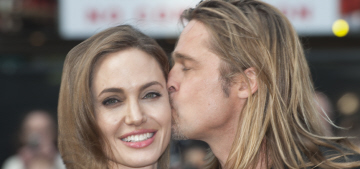 Brad Pitt & Angelina Jolie have a clear-cut prenup, they won’t fight over money