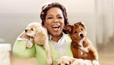 Oprah surrounds herself with the cutest puppies ever