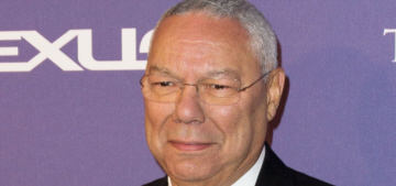 Colin Powell publicly endorsed Hillary Clinton: ‘She is smart, she is capable’