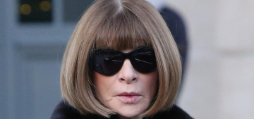 Anna Wintour apologizes for speaking truth about Donald Trump on a train
