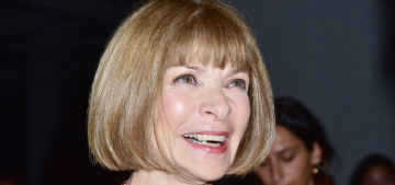Anna Wintour met with Donald Trump for thirty minutes at Trump Tower
