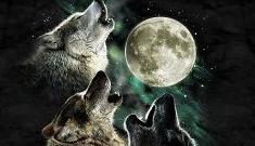 Three wolf moon is top-selling t-shirt on Amazon