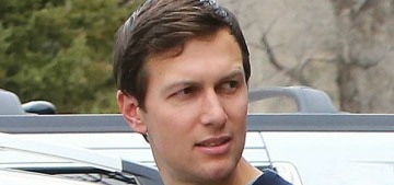 Jared Kushner is probably in charge of the entire government at this point