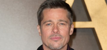 Did Brad Pitt actually travel to Cambodia during Angelina’s trip last month?