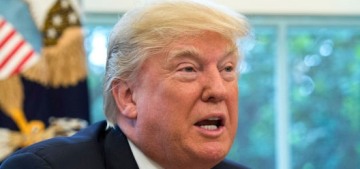 Donald Trump will temporarily kill The Wall to avoid government shutdown