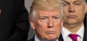 Donald Trump unsurprisingly embarrassed America at the NATO summit