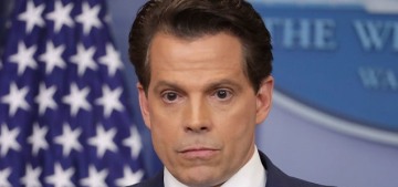 Anthony Scaramucci: ‘I’m not Steve Bannon, I’m not trying to suck my own c–k’
