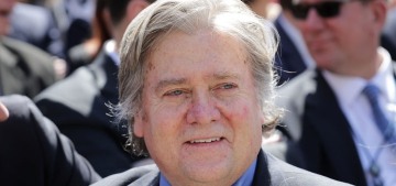Steve Bannon quits the White House, goes back to work at Breitbart immediately