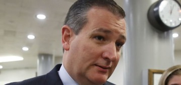 Ted Cruz: ‘Adults should be able to do whatever they want in their bedrooms’
