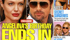 In Touch: Brad Pitt storms out of Angelina’s b-day party
