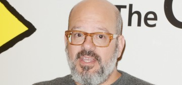 David Cross is still trying to explain his racist comments to Charlyne Yi