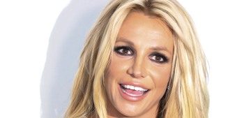 Britney Spears, Jamie Spears & Kevin Federline really are mad about child support