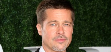 Brad Pitt ‘likes women who challenge him… in the intellect department’