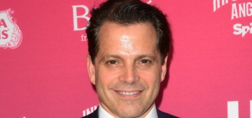 Anthony Scaramucci is big pimpin’ these days.  No, literally, he’s a pimp now.