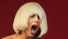 “Lady Gaga’s Glastonbury wedgie” morning links