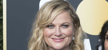 Amy Poehler is open to a Parks & Rec revival and thinks it will happen