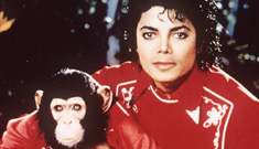 Michael Jackson’s chimp bubbles is living a peaceful life in an animal sanctuary
