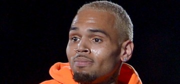 Chris Brown was arrested in Florida for an outstanding warrant for assault
