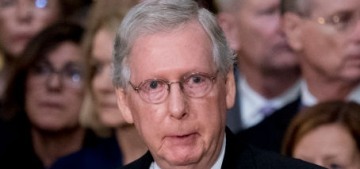Ancient turtle Mitch McConnell warns that the Senate could flip in the mid-terms