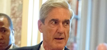 What is Robert Mueller up to, and why are they still targeting Paul Manafort?