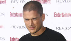 Wentworth Miller says he’s not gay, just shy and concentrating on career