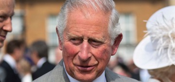 Prince Charles took over his mother’s garden party hosting duties yesterday