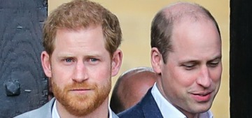 Prince Harry & William met yesterday & decided to split up the Royal Foundation