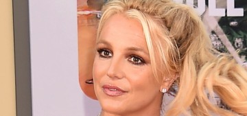 Britney Spears ‘removed’ her sons from an abusive situation involving her dad