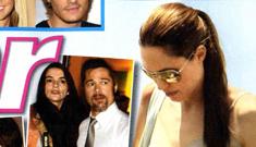 Star: Brad Pitt’s drinking makes Angelina check into a hotel