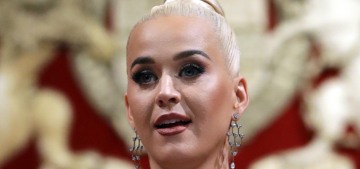 Katy Perry was named the ambassador to Prince Charles’ British Asian Trust