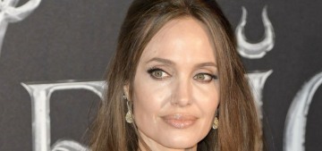 Angelina Jolie donated $1 million to No Kid Hungry to support food-insecure families