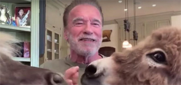 Arnold Schwarzenegger keeps a donkey & horse at home: ‘rarely do they take a dump’