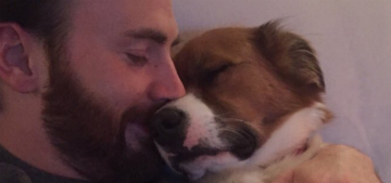 Chris Evans tried to groom his dog, left a big bald spot